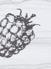 Decor Fruit Laguna Blackberry 10x30 (НЕ ПОСТАВЛЯЕТСЯ)