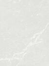 Naxos Pulido Rect Silver 60x120