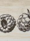 Decor Fruit Creta Raspberry 10x30