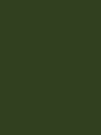 Настенная плитка BRILLO (зеленый глянец) VERDE 20х20	
