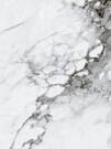 CAPRAIA WHITE PULIDO RECT 59x119 (12 лиц)