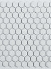 Мозаика "Hexa Honey" полуглянцевая белая (чип 23х26 мм), сетка 30х26 см