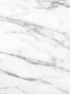 Calacatta White 25x75 (БОЛЬШЕ НЕ ПОСТАВЛЯЕТСЯ)