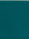 ARROW Blue Canard 5х25 см