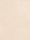 BEIGE (33,3х100)