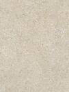 Керамогранит GRANITO Beige 60х60 (БОЛЬШЕ НЕ ПОСТАВЛЯЕТСЯ)