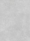 Absolut Norwik Smoke Pulido Rect 60x120 (16 лиц) (БОЛЬШЕ НЕ ПОСТАВЛЯЕТСЯ)