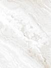 CORAL SILVER GLOSSY 60x120