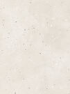 Керамогранит GRANELLA Light Beige G-41/MR 60х60