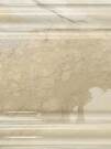 Boiserie Rex Shine Cream 25x75 (24 лица)