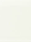 Плитка Antique Blanco Brillo Bisel 10x20 см