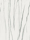 Daren Pulido / Hi-Glossy Rect. Blanco 60x120 (БОЛЬШЕ НЕ ПОСТАВЛЯЕТСЯ)