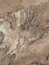 Ceracasa Dolomite Rect Noce 49,1x49,1
