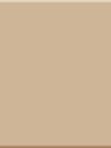 Milano Brillo Beige 10х10