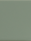 Керамическая плитка MATCH SAGE GLOSS 6,25х25