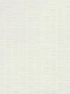 Aplomb White Mesh 50x120