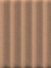 Strip Terra 5x20 см