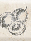 Decor Fruit Mistral Plum 10x30