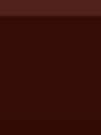 Biselado Brillo Marron 10х10