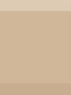 Biselado Brillo Beige 10х10