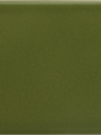 ARROW Green Kelp 5х25 см