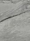 Roca Marble Platinum Gris 60x120 (12 лиц)
