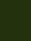 Напольная плитка Kingdom Verde Botella 20x20
