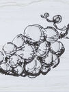 Decor Fruit Laguna Grape 10x30 (РК)
