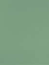 Aplomb Lichen Minidots 50x120