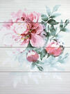 Domus Light Sand Panno (4 pz) 75x100 (БОЛЬШЕ НЕ ПОСТАВЛЯЕТСЯ)