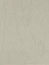 Aplomb Canvas Leaf 50x120 