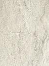 Duomo Grigio 40x80