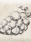 Decor Fruit Mistral Grape 10x30